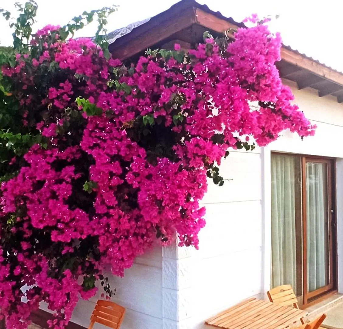 Kavurlukoz Butik Apart Karaburun  Aparthotel Karaburun (Izmir)